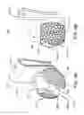 Fig. 07 - Secure golf club holder device