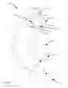 Fig. 02 - Robust tooth forms for gearing systems