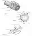 Fig. 04 - Robust tooth forms for gearing systems