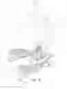 Fig. 04 - Stepping and Waist Twirling Exercise Machine