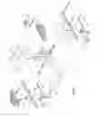 Fig. 09 - Transmission structure of a waist twirling exercise machine for body-building