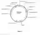 Fig. 03 - Actin regulatory elements for use in plants