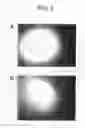 Fig. 06 - Assay devices and methods for the detection of analytes