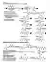 Fig. 07 - Mass- and property-tuned variable mass labeling reagents and analytical methods for simultaneous peptide sequencing and multiplexed protein quantification using thereof