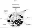 Fig. 02 - METHODS AND COMPOSITIONS FOR TRANSLATIONAL PROFILING AND MOLECULAR PHENOTYPING