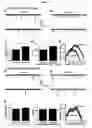 Fig. 37 - METHODS AND COMPOSITIONS FOR TRANSLATIONAL PROFILING AND MOLECULAR PHENOTYPING