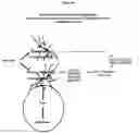 Fig. 46 - METHODS AND COMPOSITIONS FOR TRANSLATIONAL PROFILING AND MOLECULAR PHENOTYPING