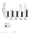 Fig. 07 - Methods for treating neurological deficits