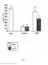 Fig. 08 - Methods for treating neurological deficits