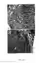 Fig. 09 - Methods for treating neurological deficits