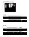 Fig. 06 - COMPOSITIONS FOR TISSUE REPAIR/REGENERATION