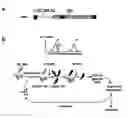 Fig. 01 - Polypeptides having modulatory effects on cells