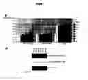 Fig. 05 - Polypeptides having modulatory effects on cells