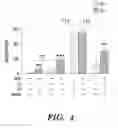 Fig. 05 - Method for treating stroke via administration of NEP1-40 and inosine