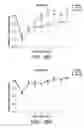Fig. 30 - Method for treating stroke via administration of NEP1-40 and inosine