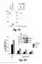 Fig. 03 - Anti-inflammatory compounds and uses thereof