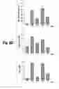 Fig. 16 - Anti-inflammatory compounds and uses thereof