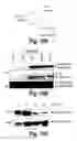 Fig. 22 - Anti-inflammatory compounds and uses thereof