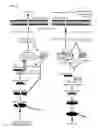 Fig. 06 - (D)-ALLOSE INDUCING PROGRAMMED CELL DEATH IN HORMONE REFRACTORY PROSTATE CANCER LINES