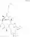 Fig. 07 - Macrolides Having Antibiotic Activity