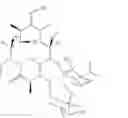 Fig. 20 - Macrolides Having Antibiotic Activity