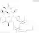 Fig. 23 - Macrolides Having Antibiotic Activity