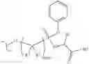 Fig. 116 - Nucleoside Phosphonate Analogs