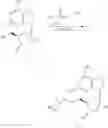 Fig. 194 - Nucleoside Phosphonate Analogs