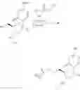 Fig. 199 - Nucleoside Phosphonate Analogs
