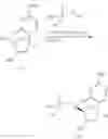 Fig. 203 - Nucleoside Phosphonate Analogs
