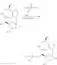 Fig. 204 - Nucleoside Phosphonate Analogs