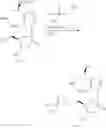 Fig. 205 - Nucleoside Phosphonate Analogs