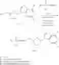 Fig. 220 - Nucleoside Phosphonate Analogs