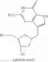 Fig. 258 - Nucleoside Phosphonate Analogs