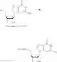 Fig. 301 - Nucleoside Phosphonate Analogs