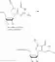Fig. 306 - Nucleoside Phosphonate Analogs