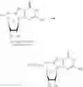 Fig. 308 - Nucleoside Phosphonate Analogs