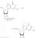 Fig. 309 - Nucleoside Phosphonate Analogs