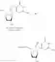 Fig. 318 - Nucleoside Phosphonate Analogs