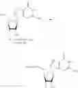 Fig. 321 - Nucleoside Phosphonate Analogs
