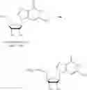 Fig. 324 - Nucleoside Phosphonate Analogs