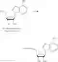 Fig. 334 - Nucleoside Phosphonate Analogs