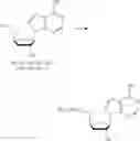 Fig. 337 - Nucleoside Phosphonate Analogs