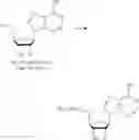 Fig. 338 - Nucleoside Phosphonate Analogs