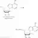 Fig. 339 - Nucleoside Phosphonate Analogs