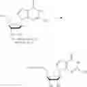 Fig. 342 - Nucleoside Phosphonate Analogs