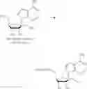 Fig. 343 - Nucleoside Phosphonate Analogs