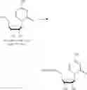 Fig. 346 - Nucleoside Phosphonate Analogs