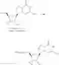 Fig. 366 - Nucleoside Phosphonate Analogs