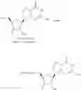 Fig. 368 - Nucleoside Phosphonate Analogs